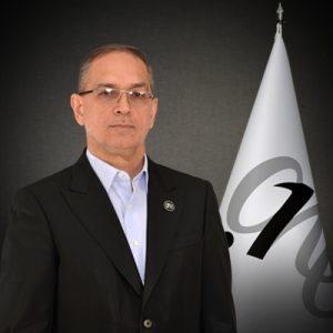 جواد صادقی مجد - مدیرعامل دات‌وان سیر